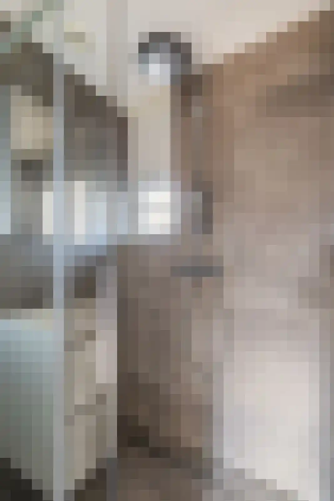 Twaalfbunder 9 Breda thumbnail 26