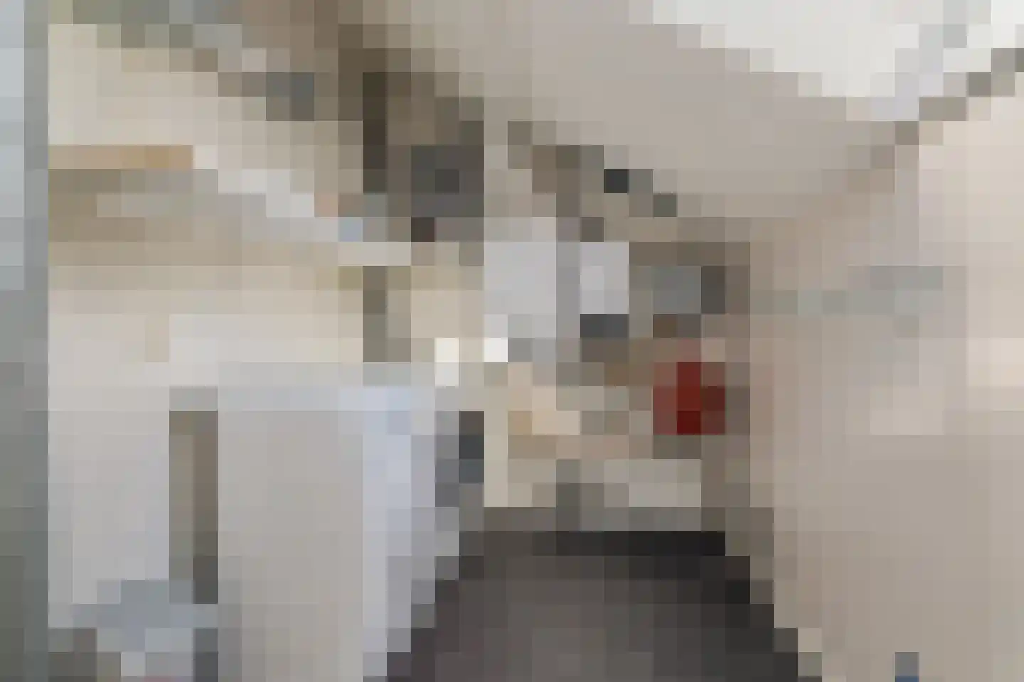 Twaalfbunder 9 Breda thumbnail 29