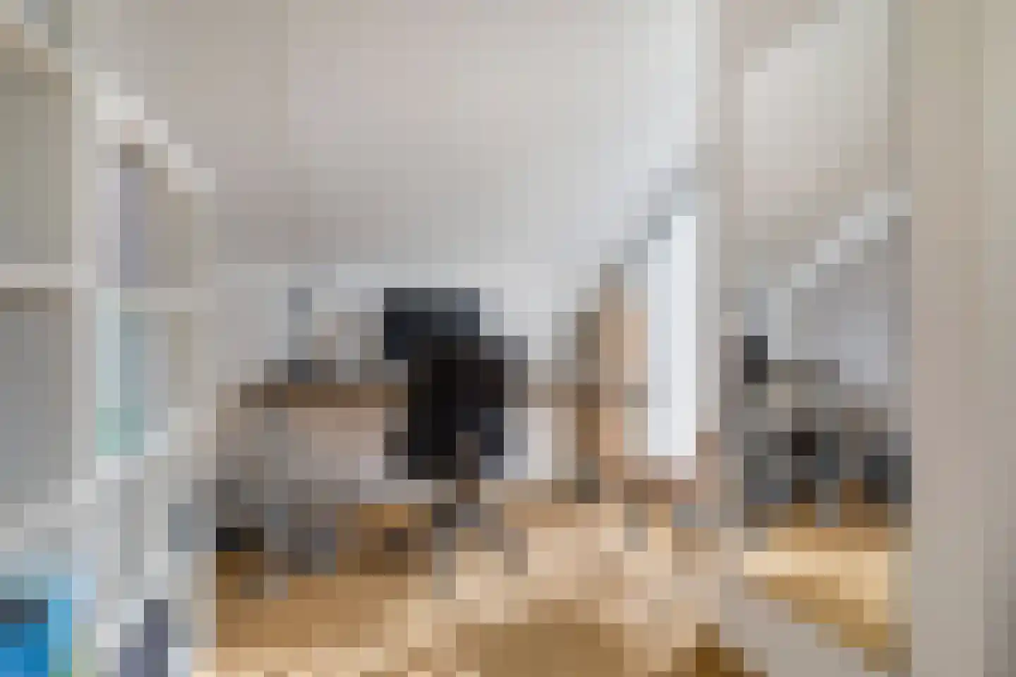 Twaalfbunder 9 Breda thumbnail 32