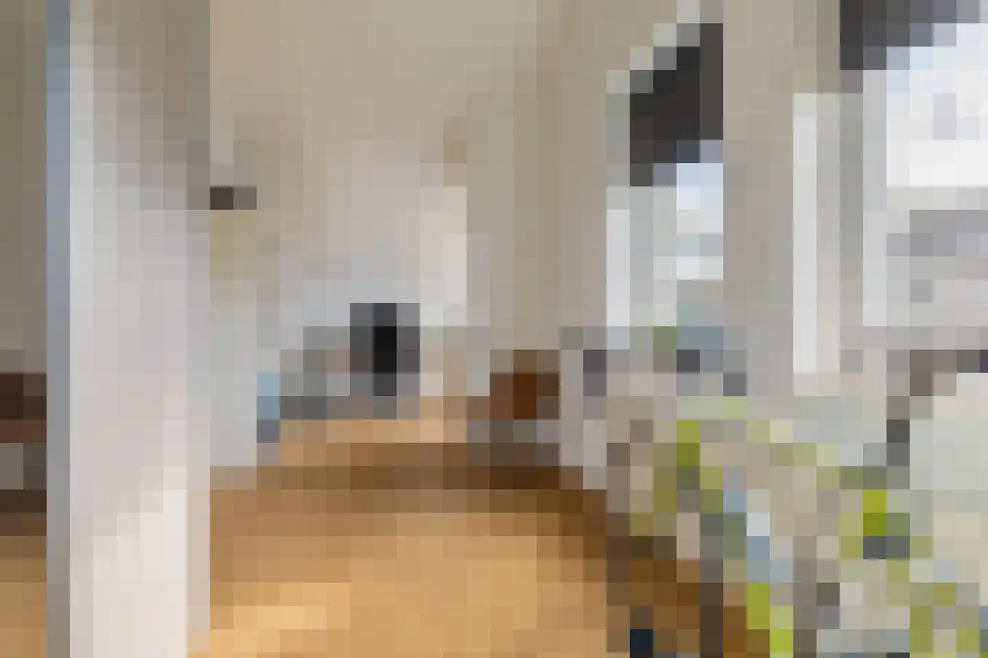 Twaalfbunder 9 Breda thumbnail 33