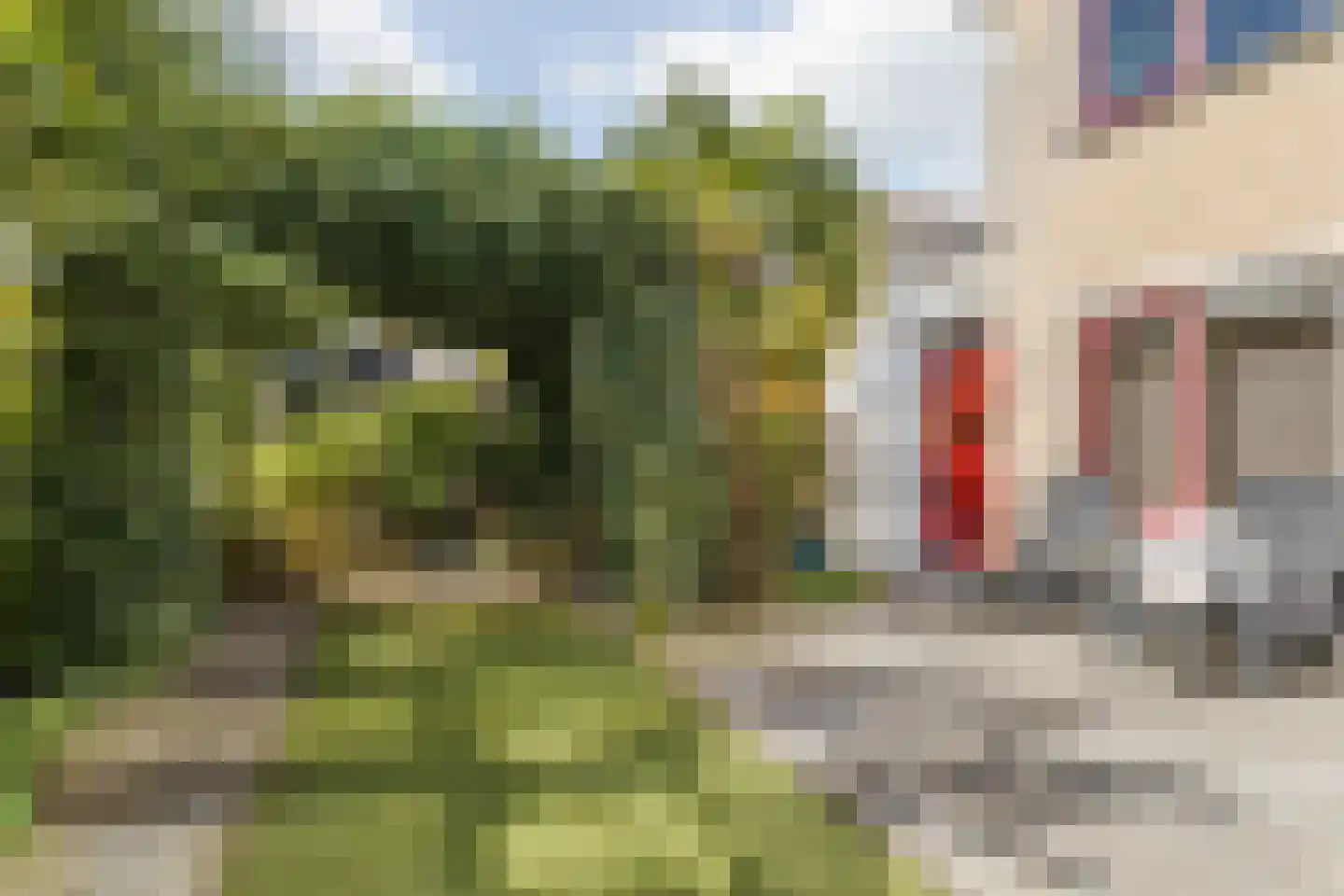 Twaalfbunder 9 Breda thumbnail 39