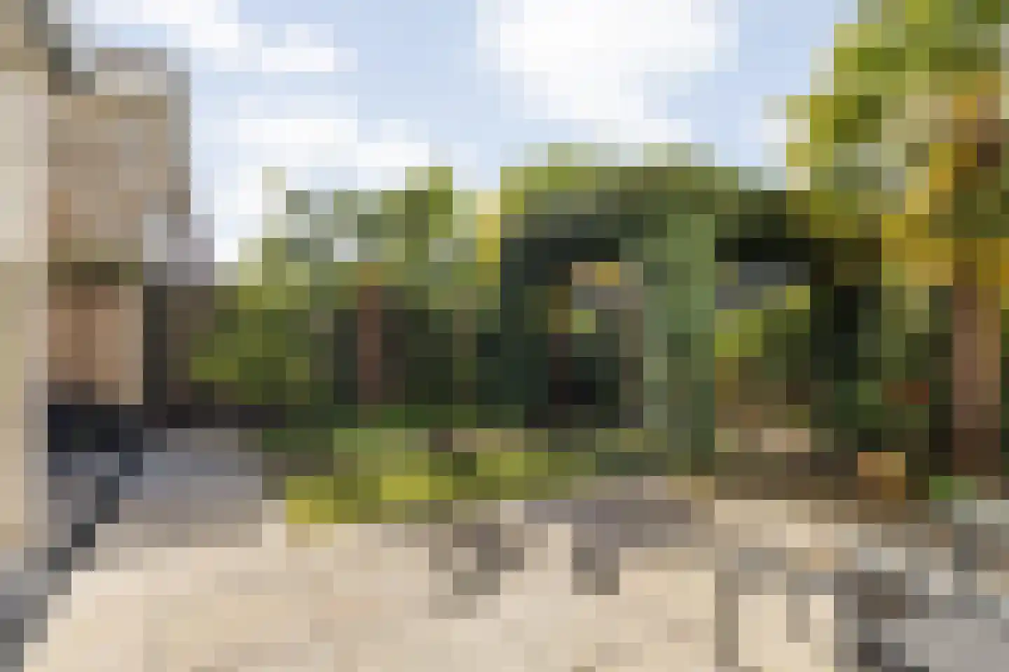 Twaalfbunder 9 Breda thumbnail 4