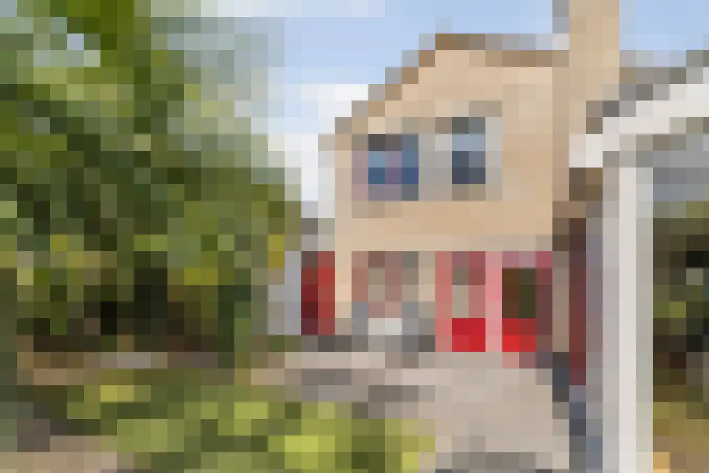 Twaalfbunder 9 Breda thumbnail 40