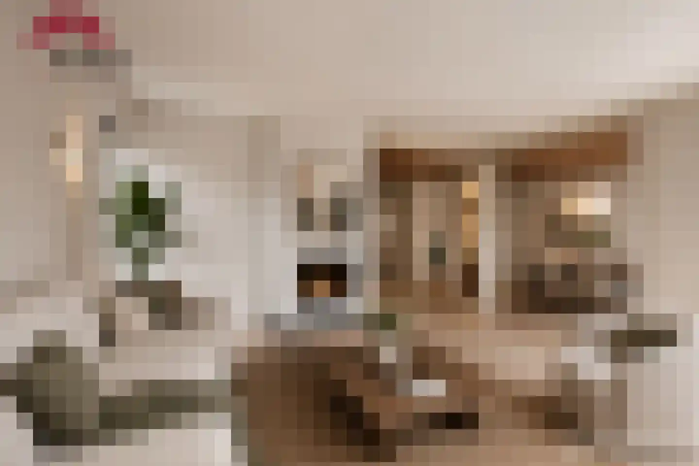 Twaalfmorgenland 2 Hoevelaken thumbnail 10