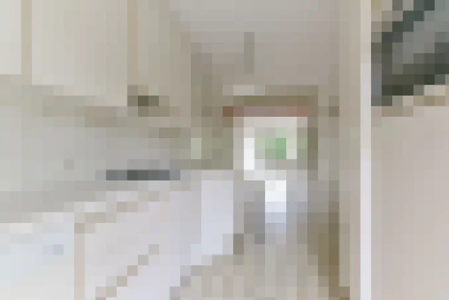 Twaalfmorgenland 2 Hoevelaken thumbnail 17