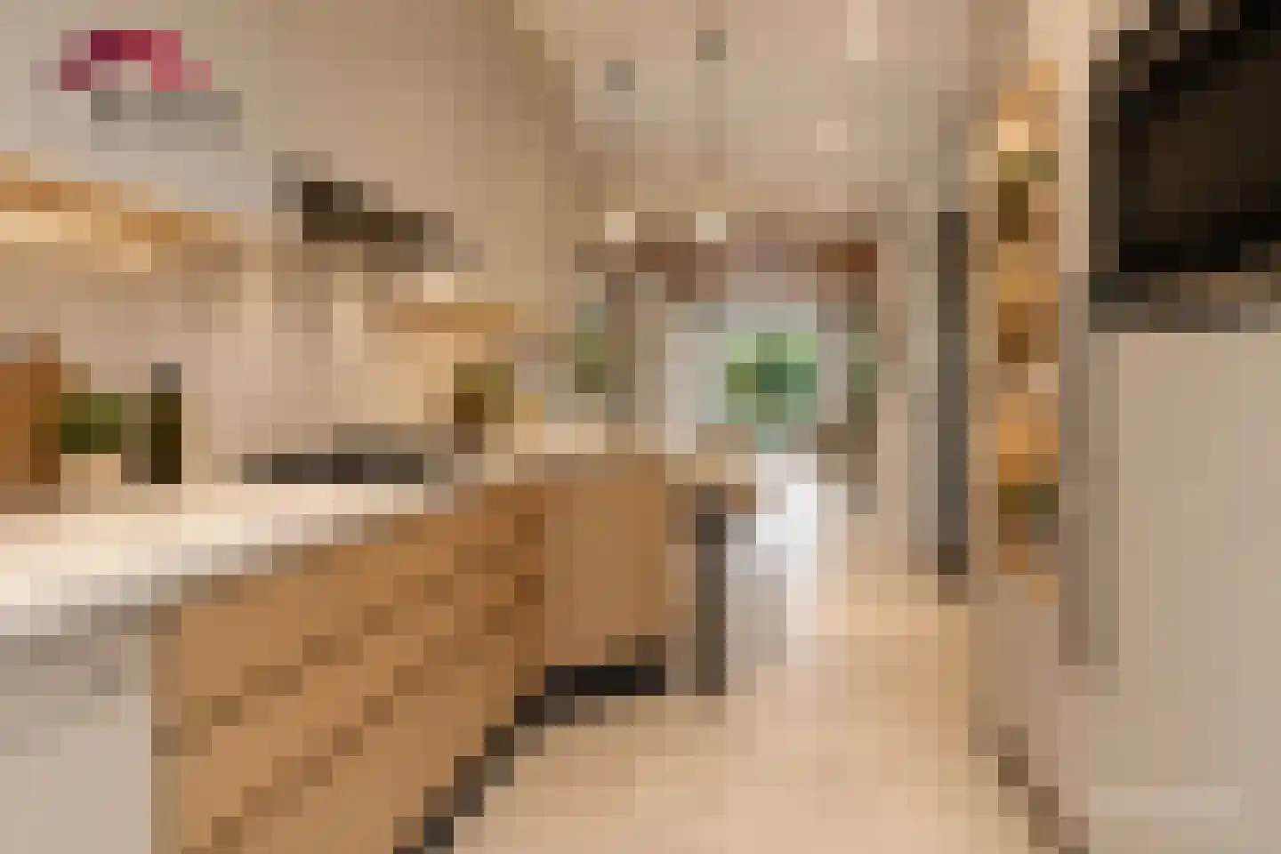 Twaalfmorgenland 2 Hoevelaken thumbnail 18