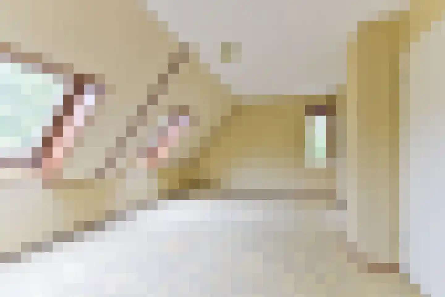 Twaalfmorgenland 2 Hoevelaken thumbnail 23