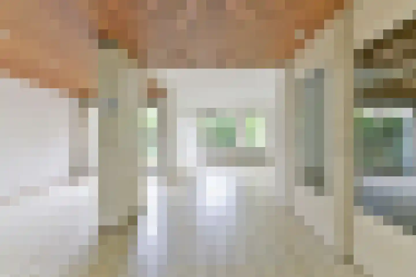Twaalfmorgenland 2 Hoevelaken thumbnail 8