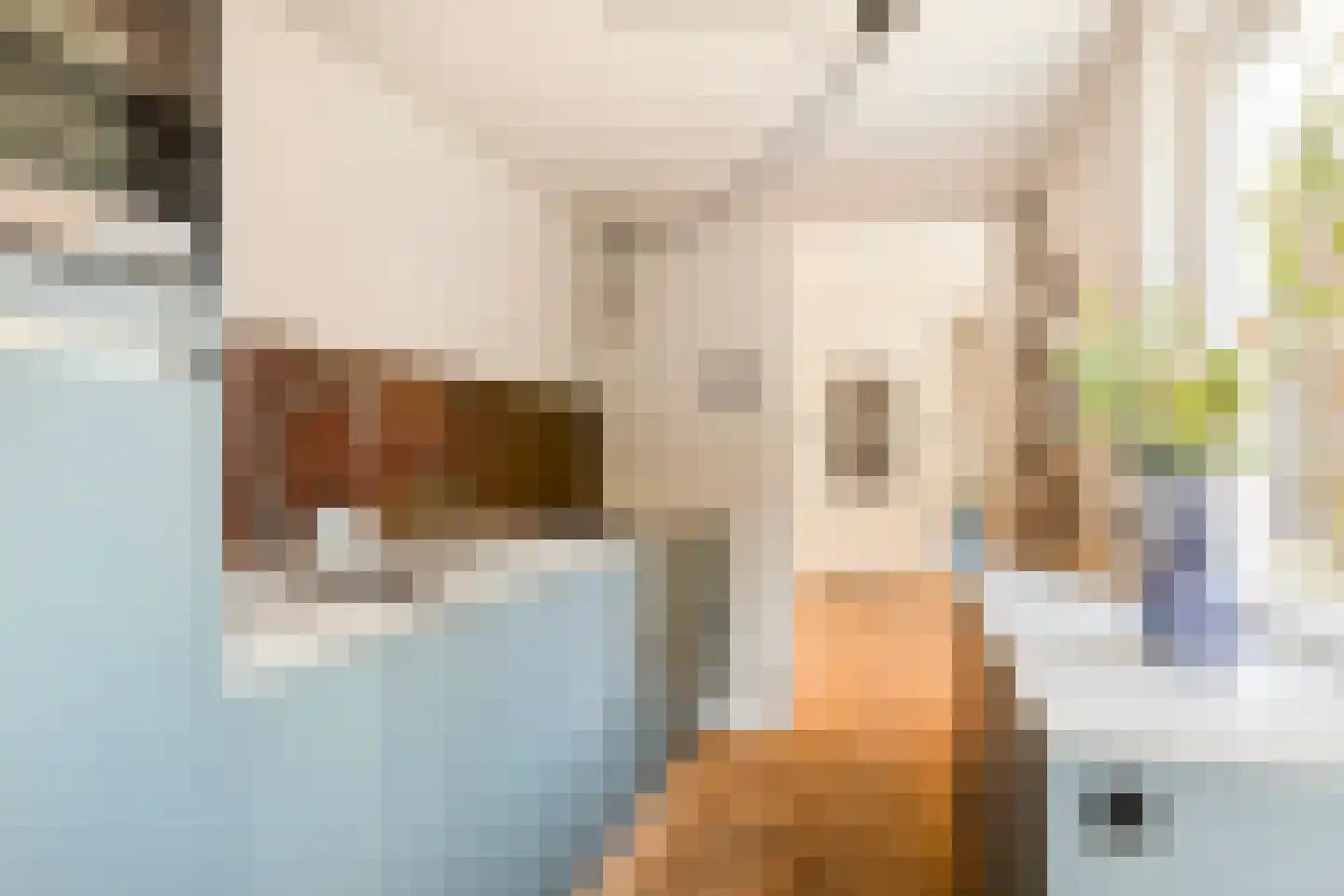 Twaalfmorgenstraat 3 's-Hertogenbosch thumbnail 10
