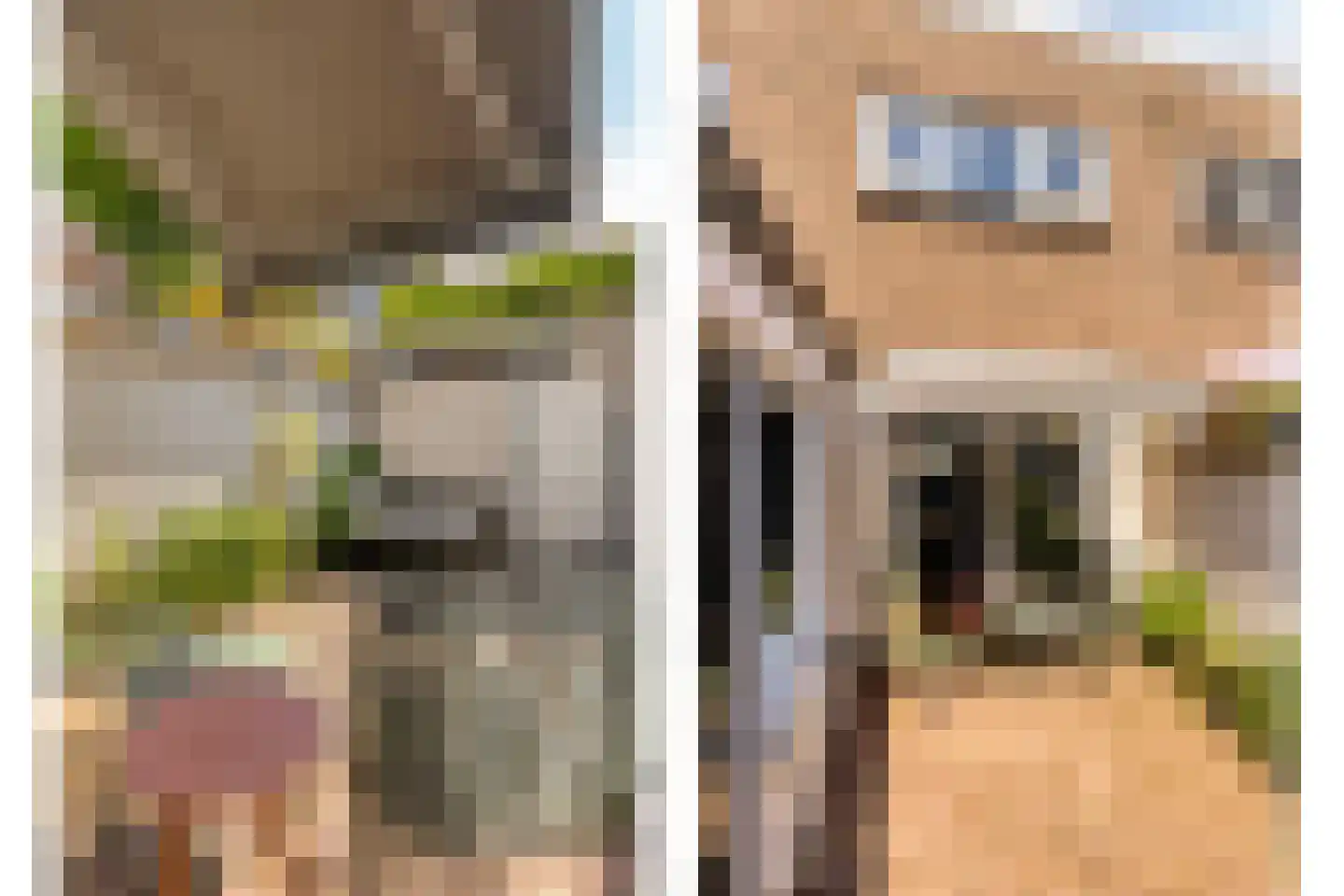 Twaalfmorgenstraat 3 's-Hertogenbosch thumbnail 12