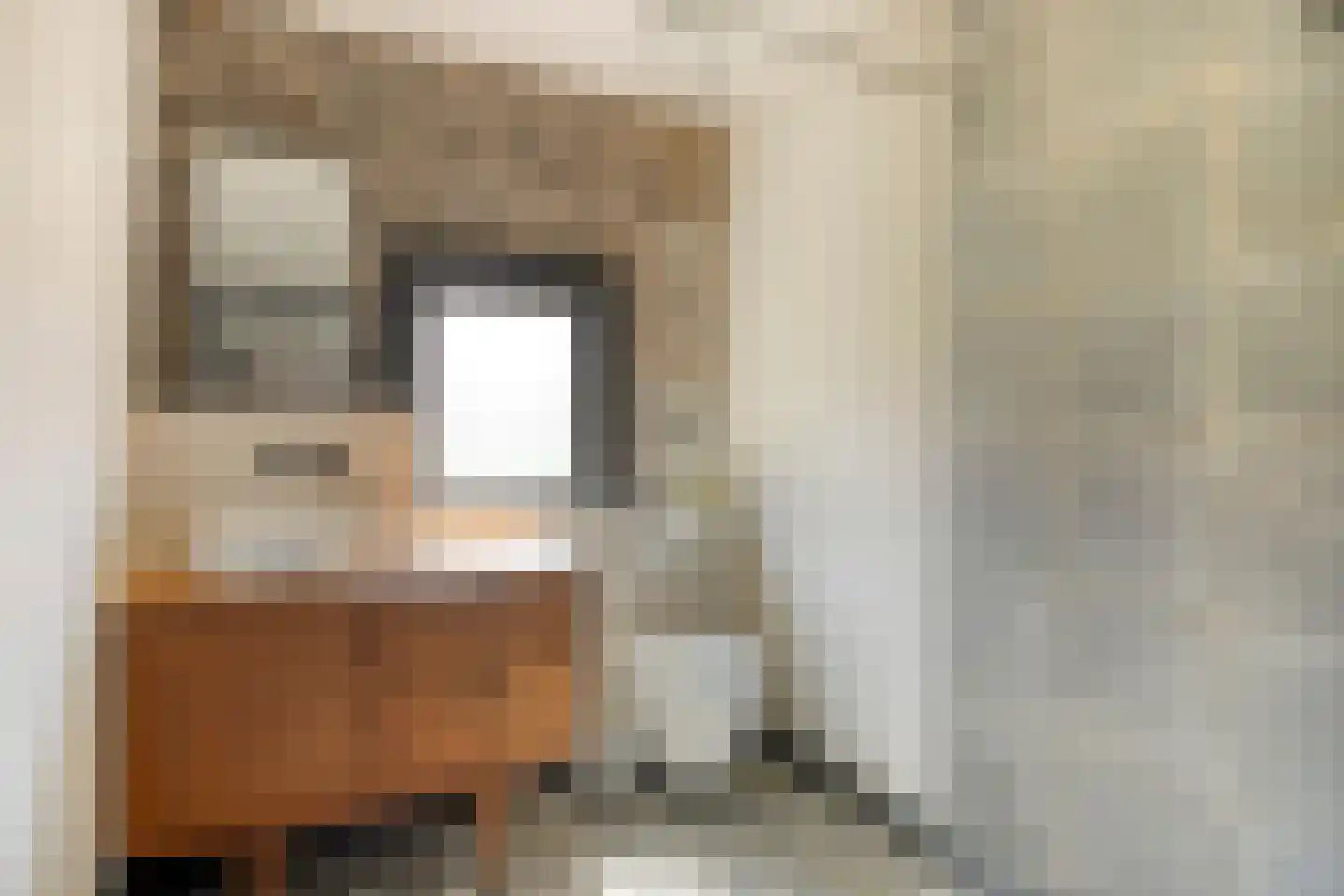 Twaalfmorgenstraat 3 's-Hertogenbosch thumbnail 14