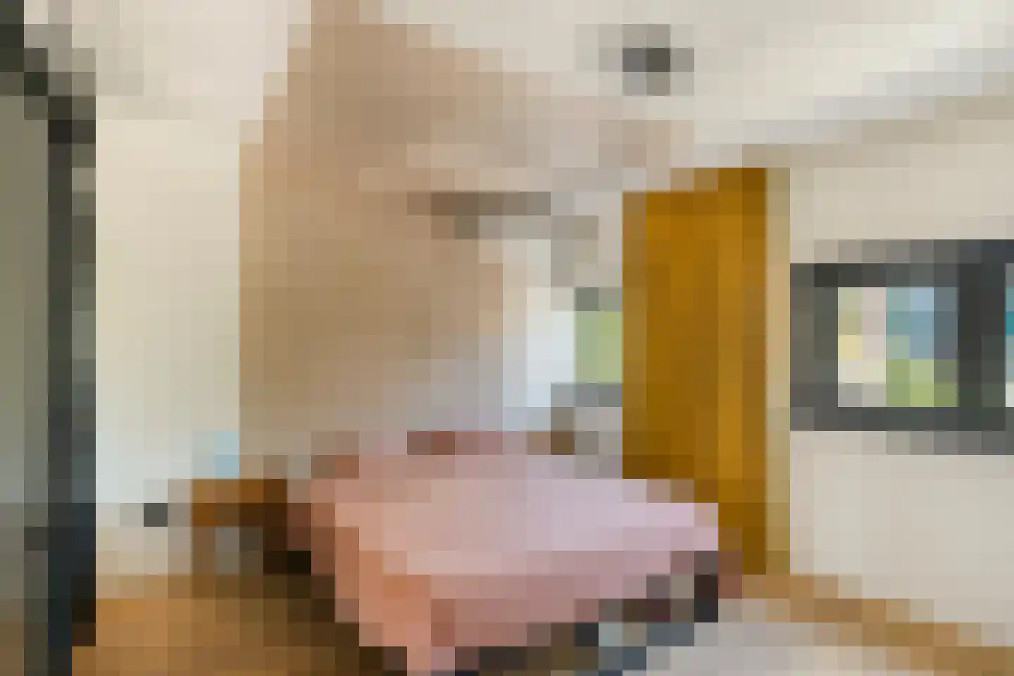 Twaalfmorgenstraat 3 's-Hertogenbosch thumbnail 15