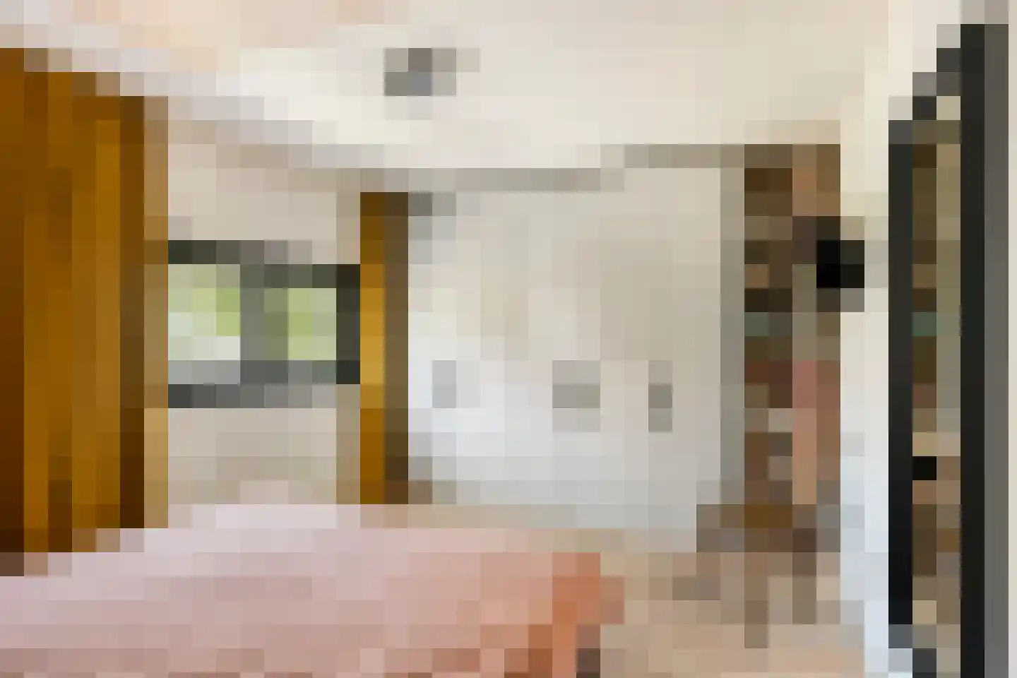 Twaalfmorgenstraat 3 's-Hertogenbosch thumbnail 16