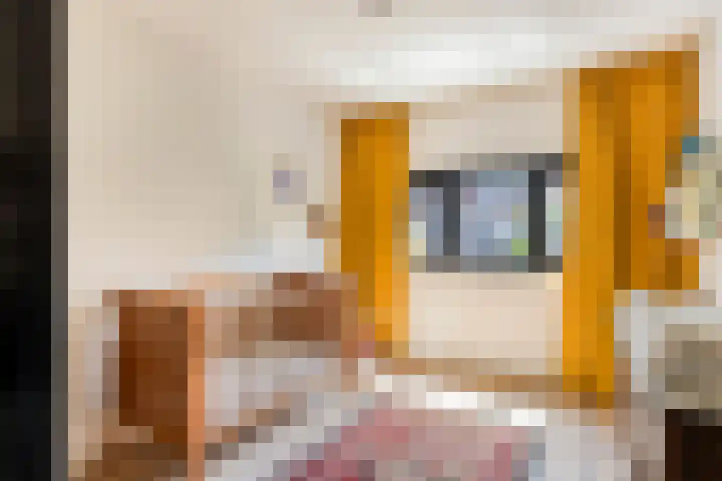 Twaalfmorgenstraat 3 's-Hertogenbosch thumbnail 17