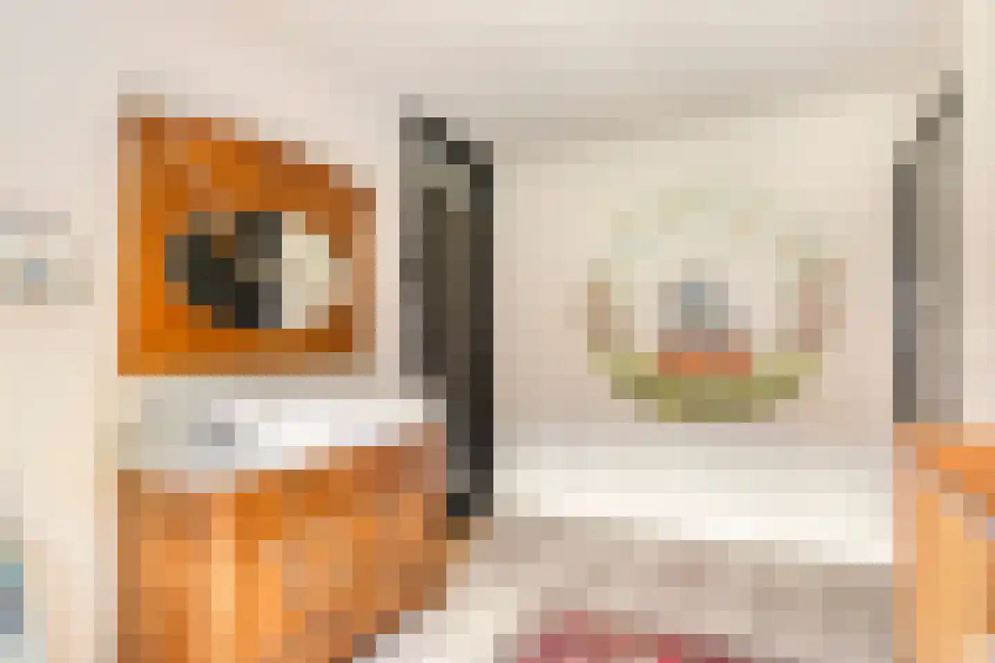 Twaalfmorgenstraat 3 's-Hertogenbosch thumbnail 18