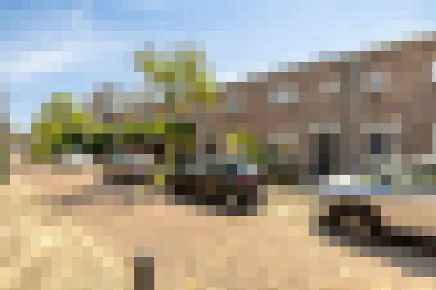 Twaalfmorgenstraat 3 's-Hertogenbosch thumbnail 19