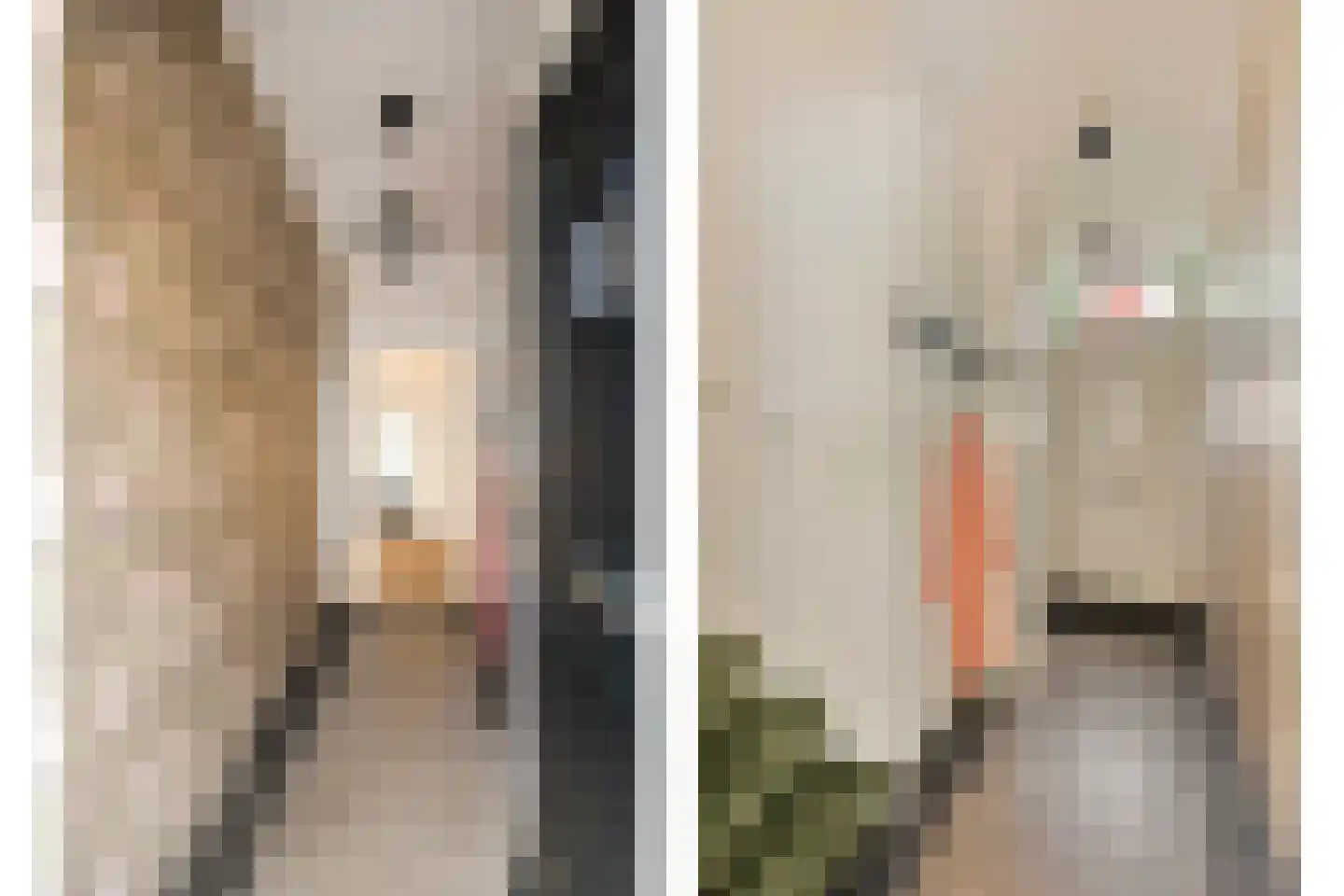 Twaalfmorgenstraat 3 's-Hertogenbosch thumbnail 4