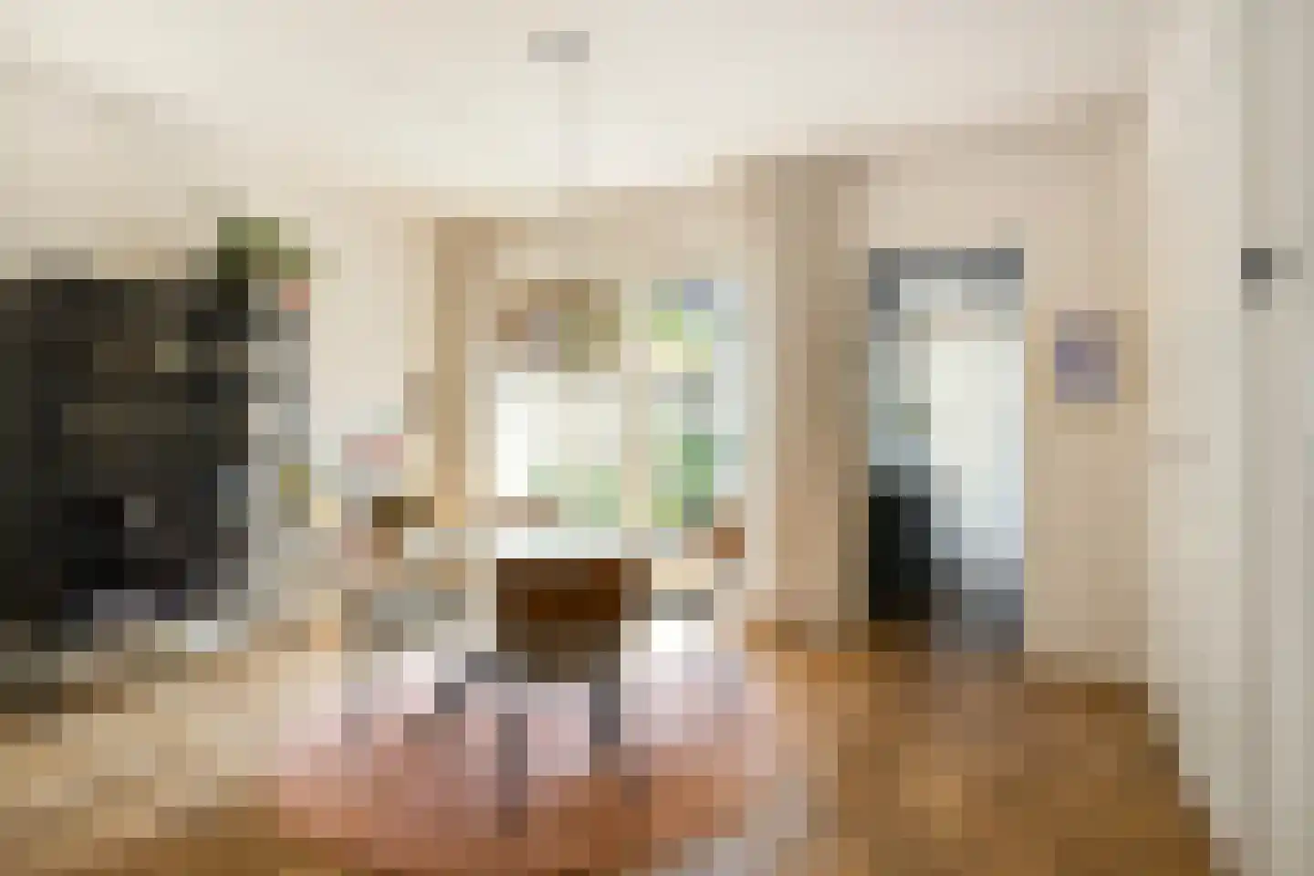 Twaalfmorgenstraat 3 's-Hertogenbosch thumbnail 8