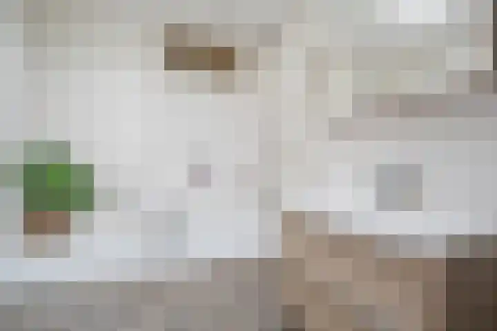 Twaalfmorgenstraat 41 's-Hertogenbosch thumbnail 17