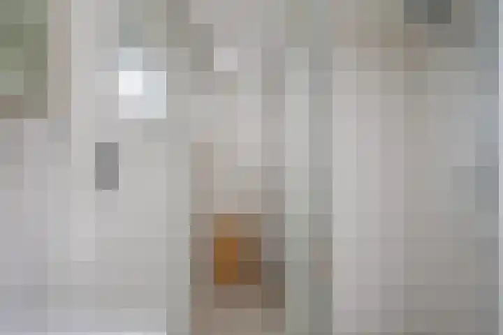 Twaalfmorgenstraat 41 's-Hertogenbosch thumbnail 19
