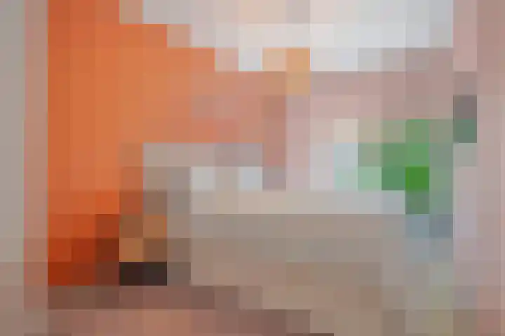 Twaalfmorgenstraat 41 's-Hertogenbosch thumbnail 22