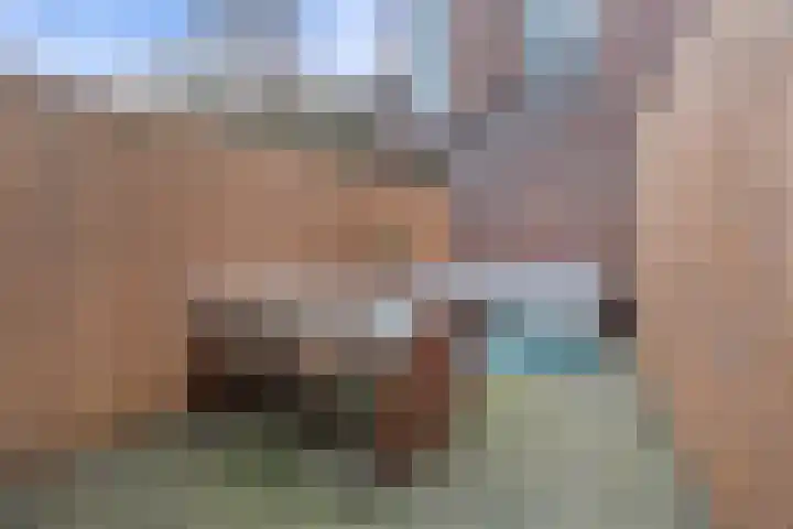 Twaalfmorgenstraat 41 's-Hertogenbosch thumbnail 29