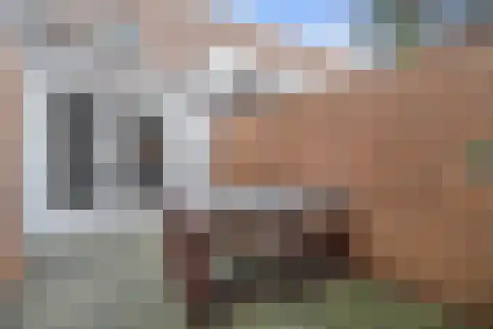Twaalfmorgenstraat 41 's-Hertogenbosch thumbnail 31