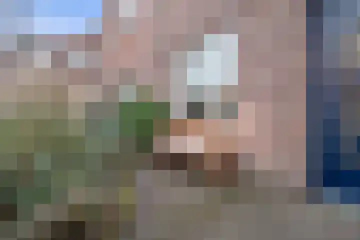 Twaalfmorgenstraat 41 's-Hertogenbosch thumbnail 33