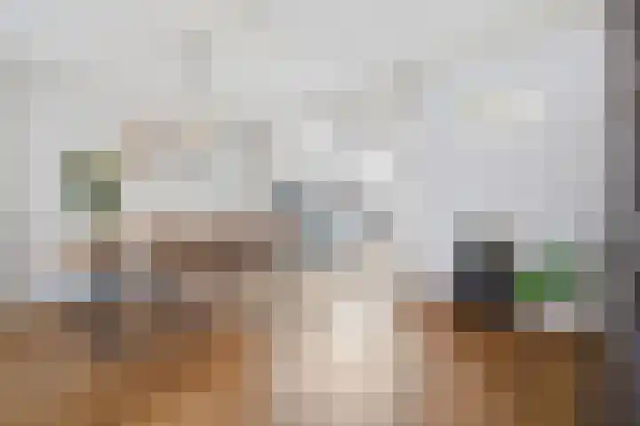 Twaalfmorgenstraat 41 's-Hertogenbosch thumbnail 4