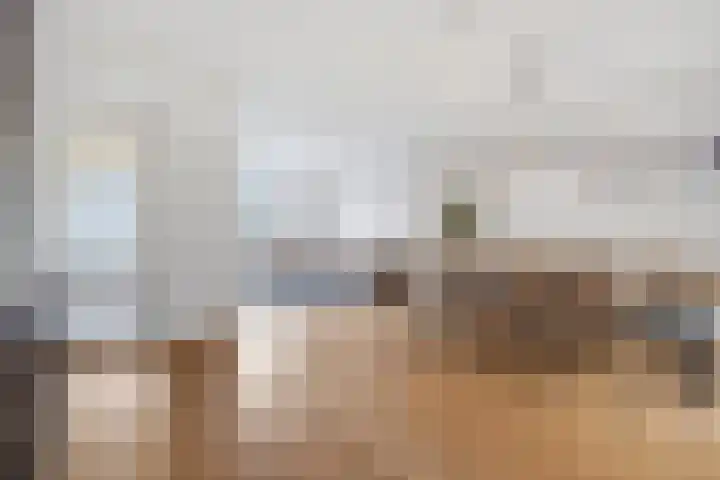 Twaalfmorgenstraat 41 's-Hertogenbosch thumbnail 5