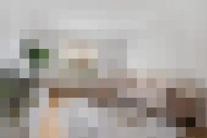Twaalfmorgenstraat 41 's-Hertogenbosch thumbnail 6