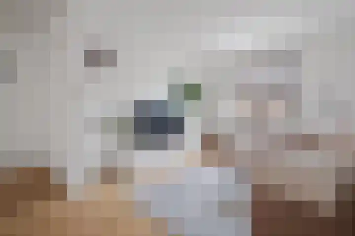 Twaalfmorgenstraat 41 's-Hertogenbosch thumbnail 7