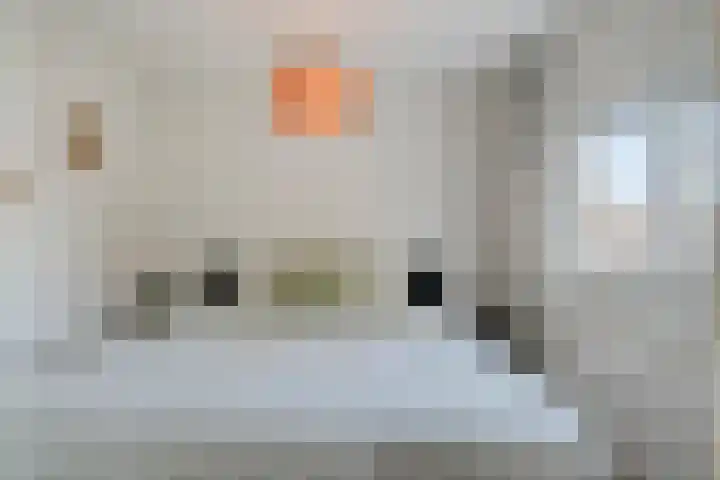 Twaalfmorgenstraat 61 's-Hertogenbosch thumbnail 22