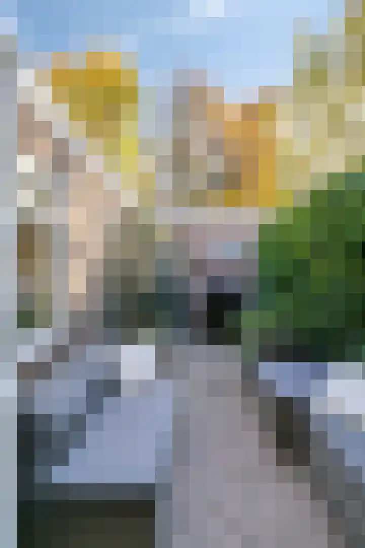 Twaalfmorgenstraat 61 's-Hertogenbosch thumbnail 28