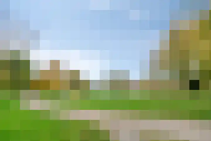 Twaalfmorgenstraat 61 's-Hertogenbosch thumbnail 36