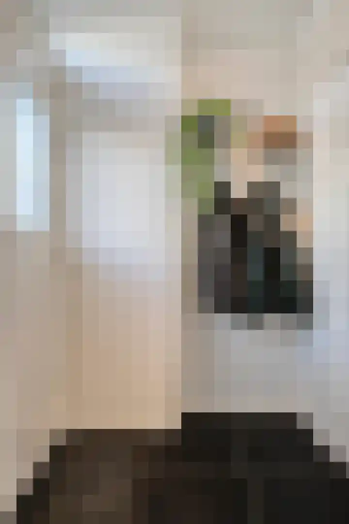 Twaalfmorgenstraat 61 's-Hertogenbosch thumbnail 4