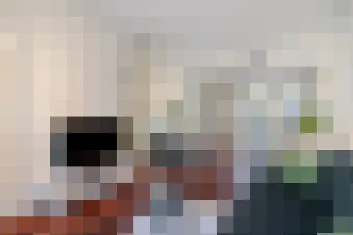 Twaalfmorgenstraat 61 's-Hertogenbosch thumbnail 8