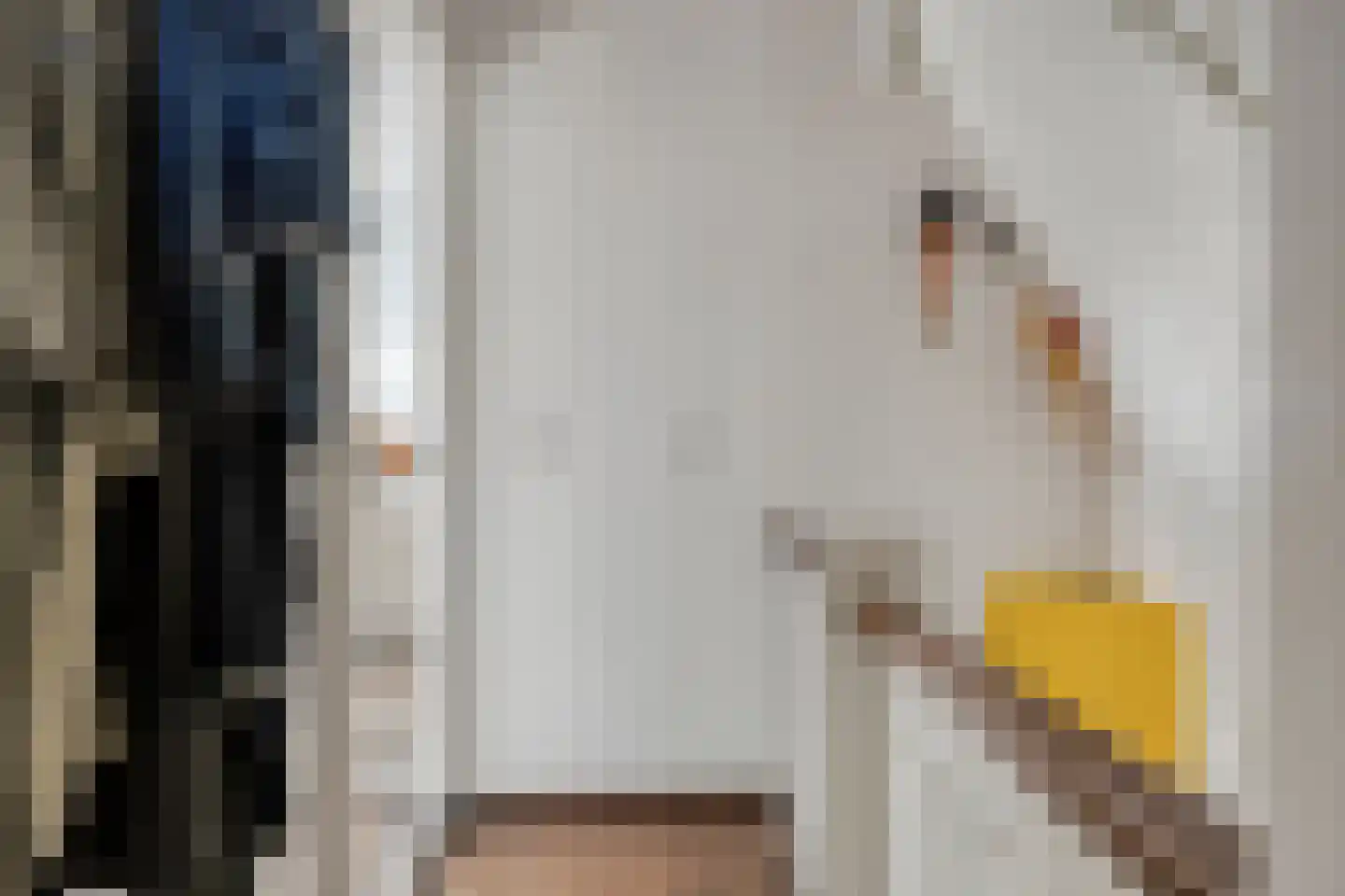 Twaalfmorgenstraat 83 Den Bosch thumbnail 10