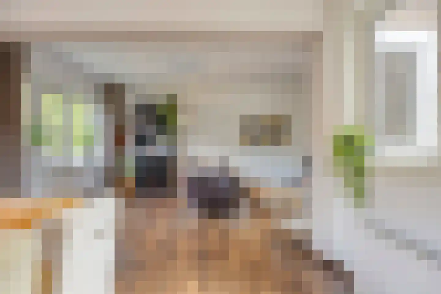 Twaalfmorgenstraat 83 Den Bosch thumbnail 11