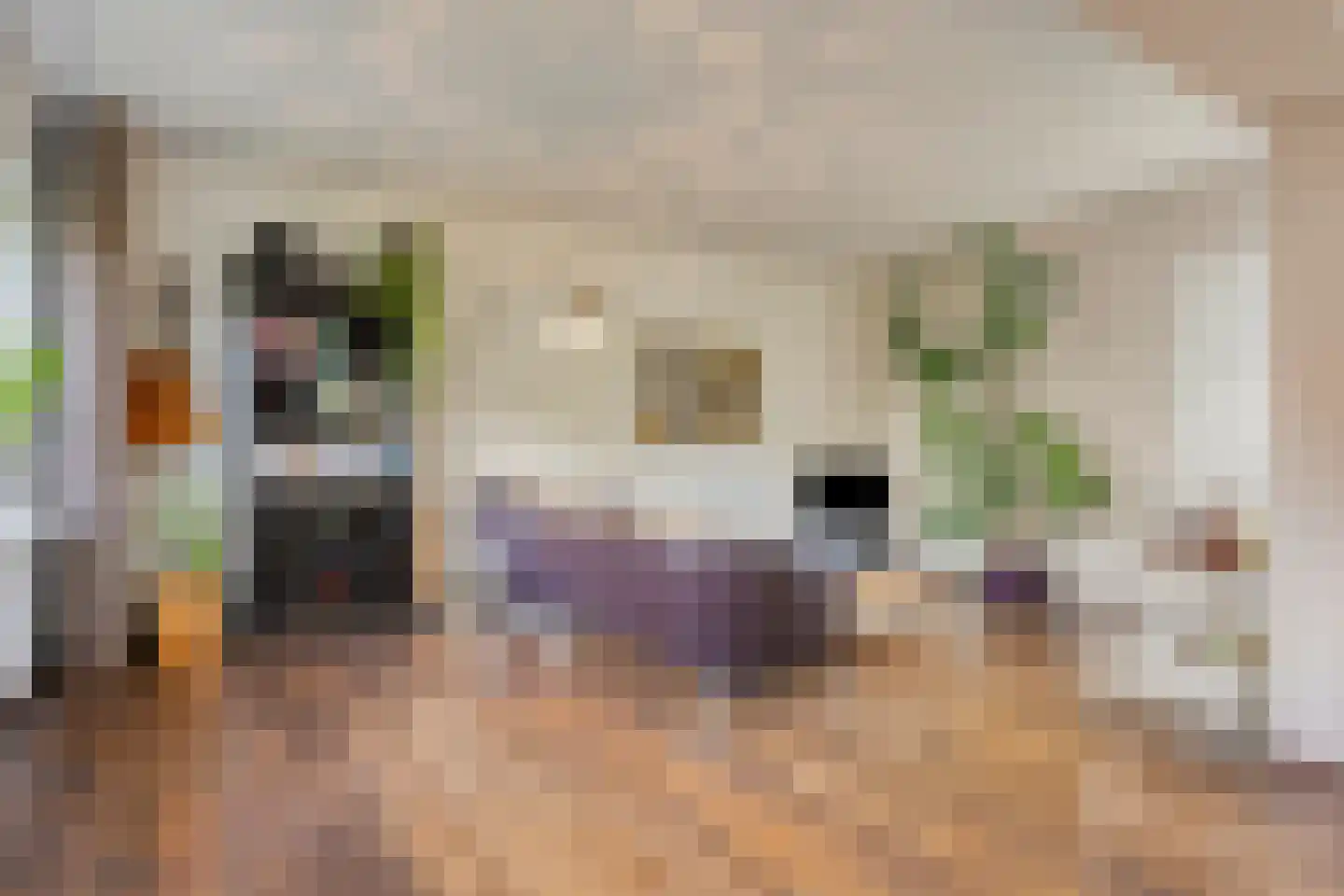 Twaalfmorgenstraat 83 Den Bosch thumbnail 12