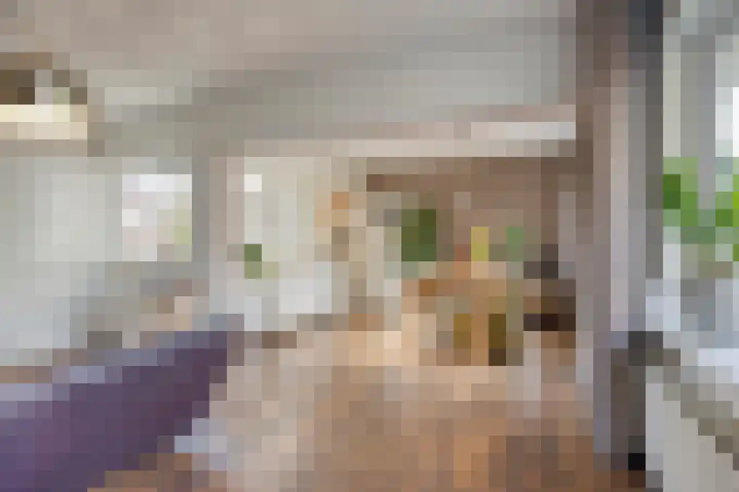 Twaalfmorgenstraat 83 Den Bosch thumbnail 14