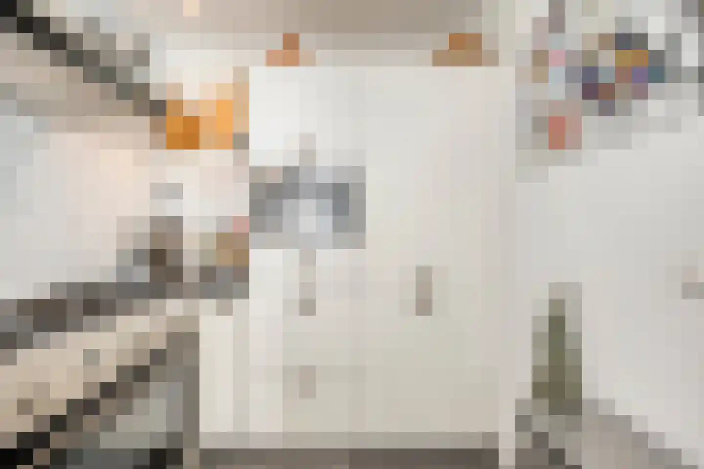 Twaalfmorgenstraat 83 Den Bosch thumbnail 18