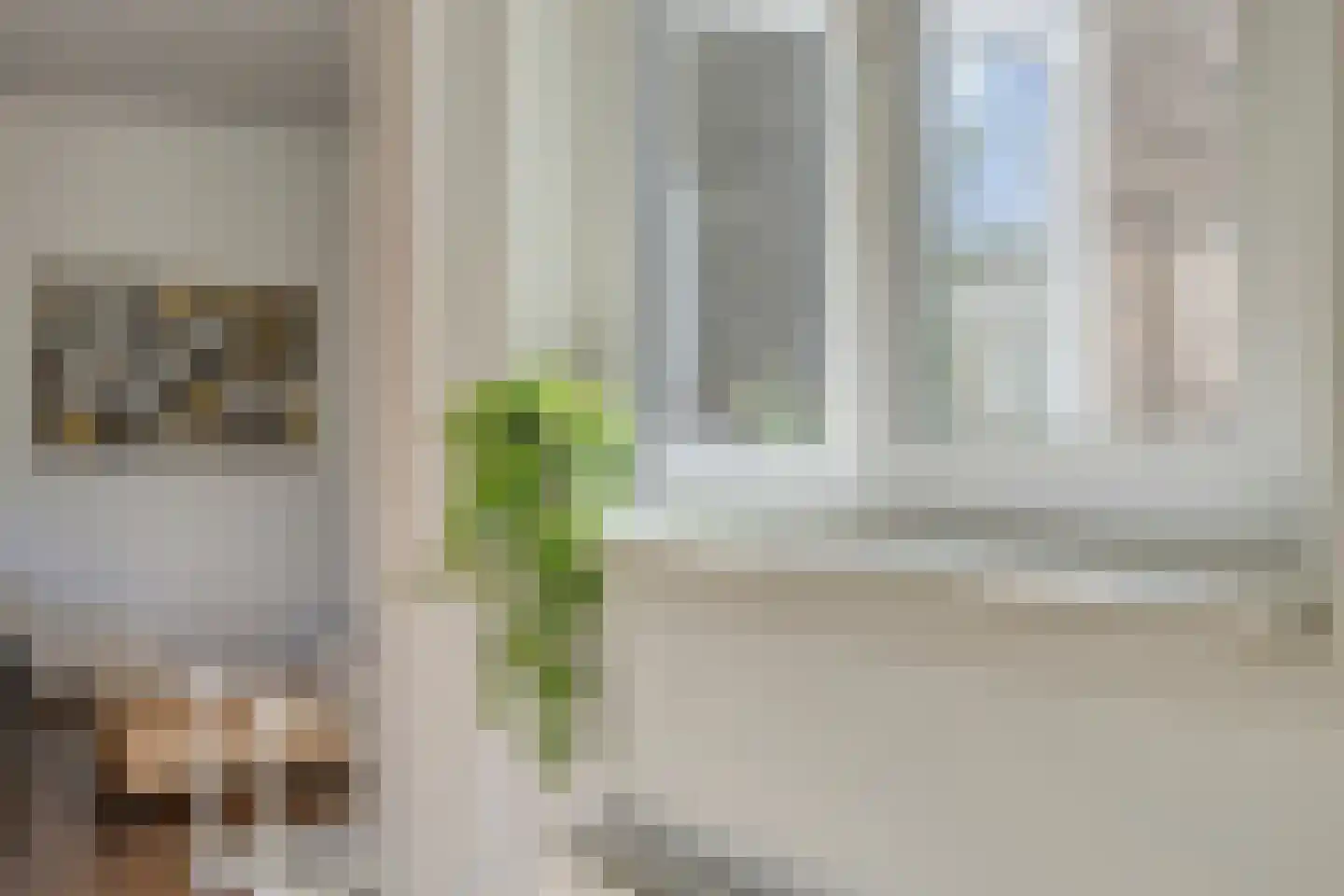 Twaalfmorgenstraat 83 Den Bosch thumbnail 23