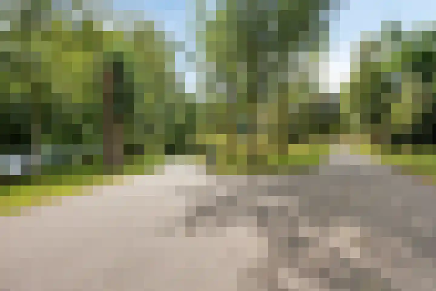 Twaalfmorgenstraat 83 Den Bosch thumbnail 45