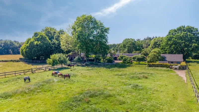 Kantoor foto van Twan Kesseler de Makelaar van Malden en omgeving