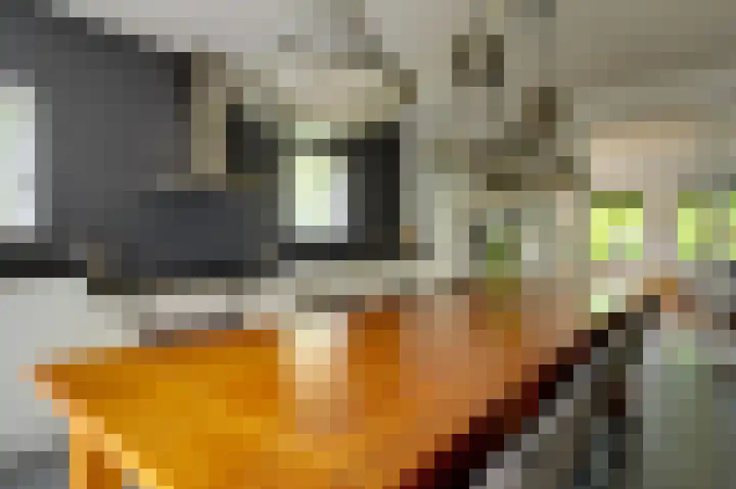 Twarrelt 2 Appingedam thumbnail 17