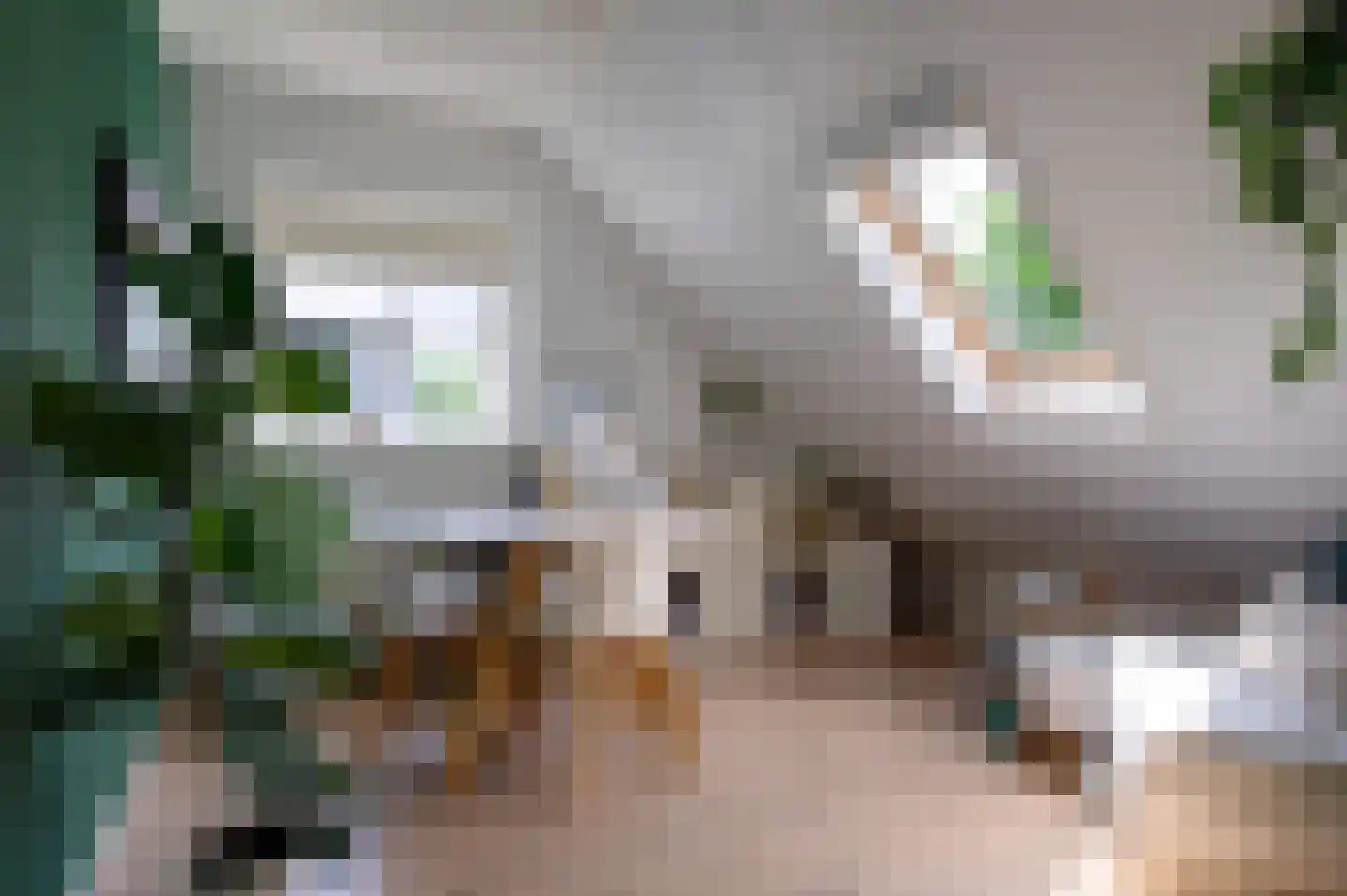 Twarrelt 2 Appingedam thumbnail 33