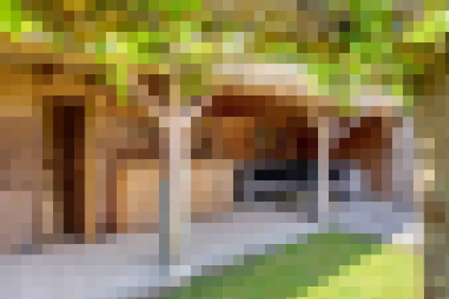 Twarrelt 2 Appingedam thumbnail 47