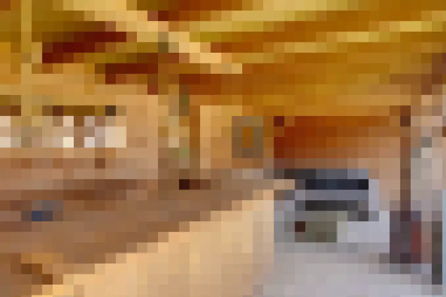 Twarrelt 2 Appingedam thumbnail 48
