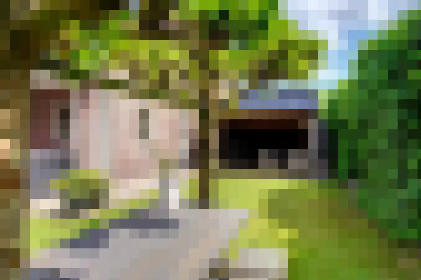 Twarrelt 2 Appingedam thumbnail 49